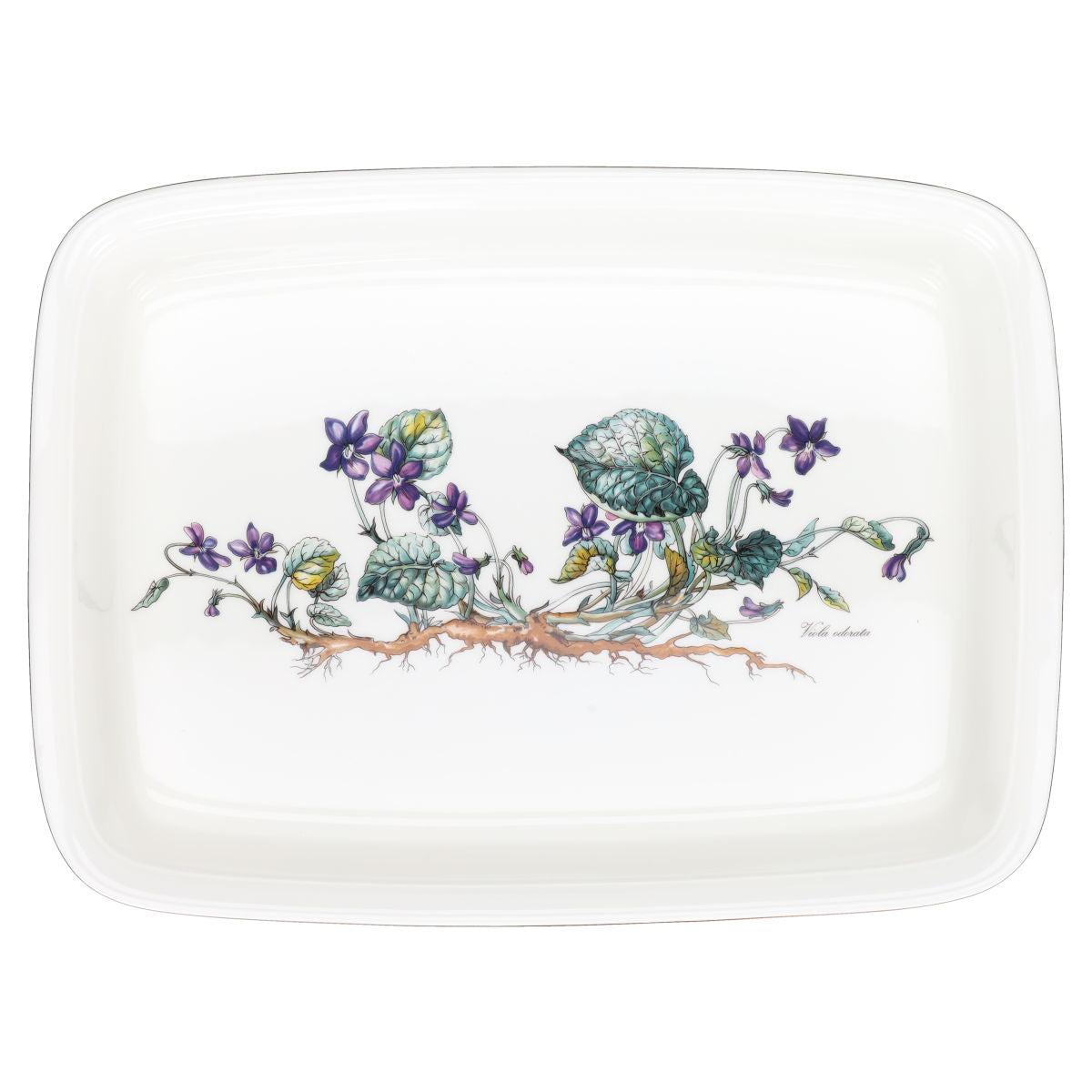 Auflaufform eckig Viola odorata groß