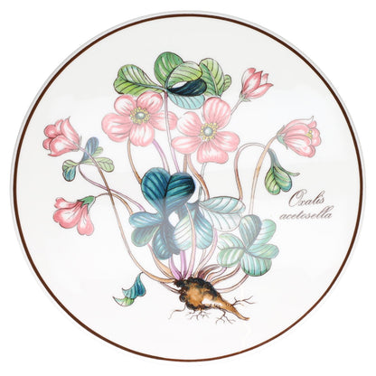 Bonbonniere / Dosen mittelgroß oxalis acetosella