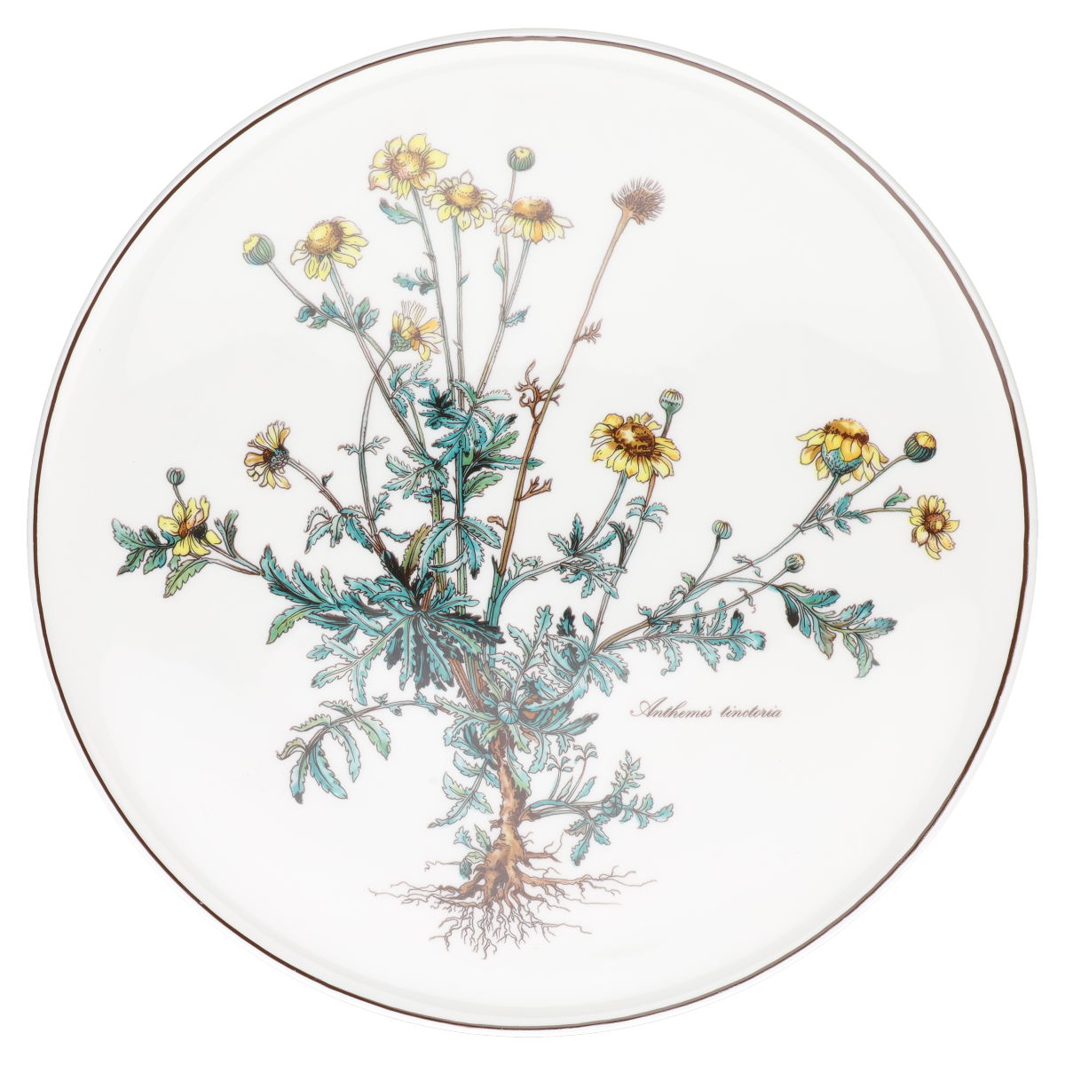 Tortenplatte Anthemis tinctoria