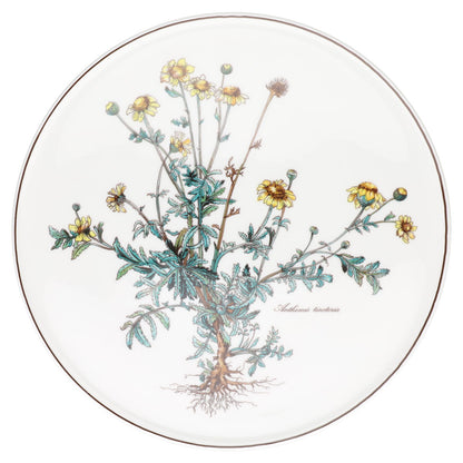 Tortenplatte Anthemis tinctoria