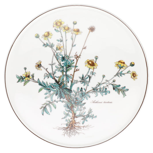 Tortenplatte Anthemis tinctoria