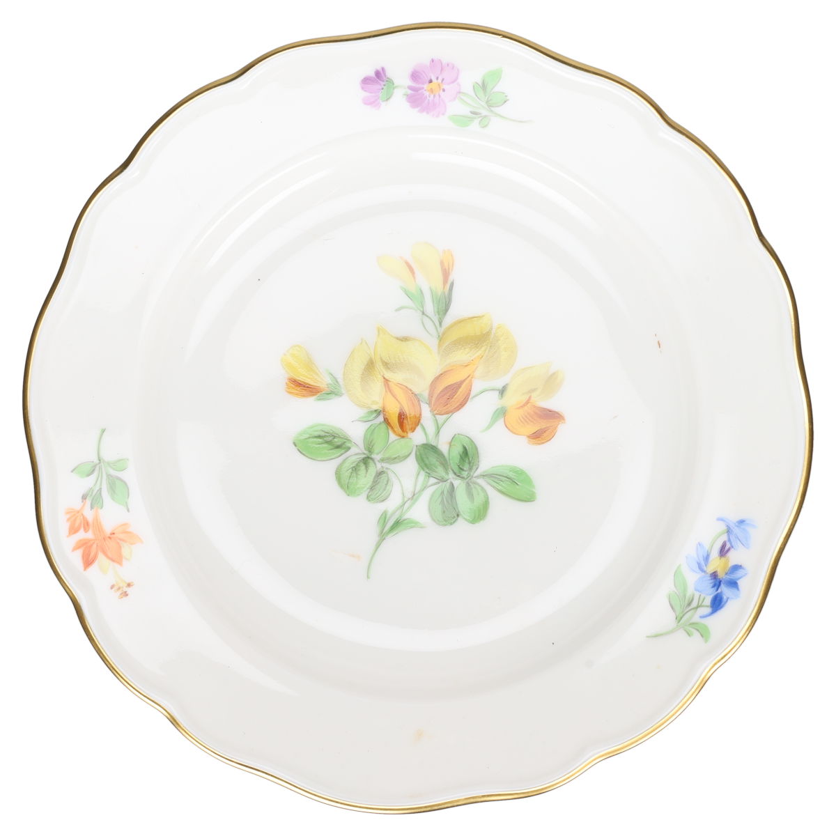 Brotteller Ginster gelb