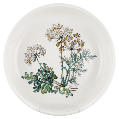 Schüssel klein Carum Carvi ohne Wurzel Schrift untereinander