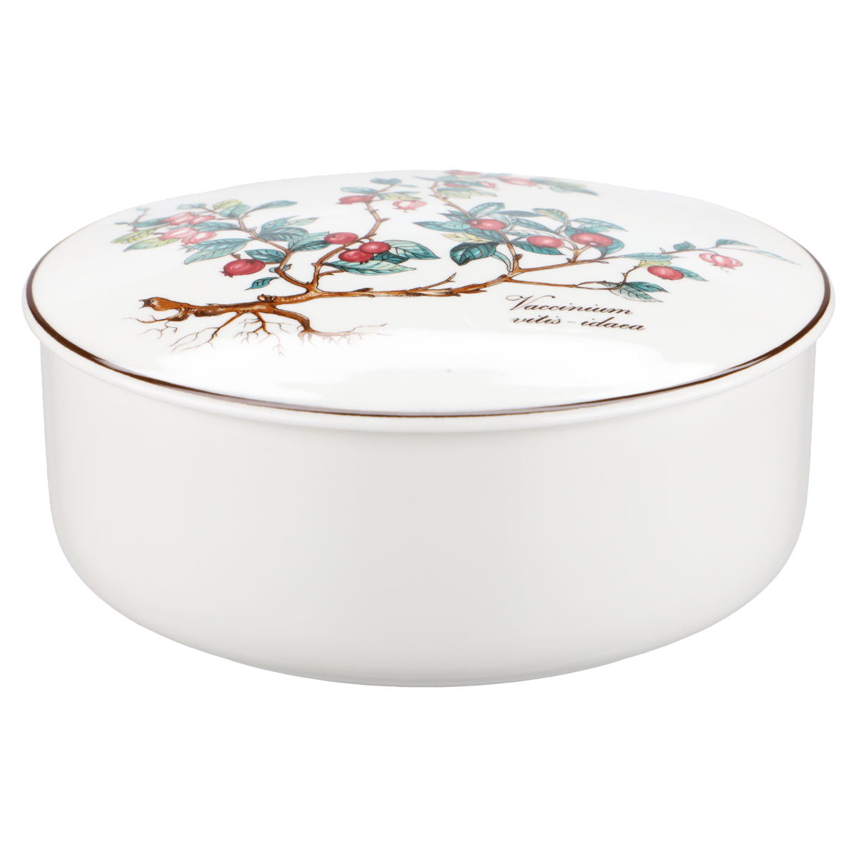 Bonbonniere maxi -  Vaccinium Vitus idaea