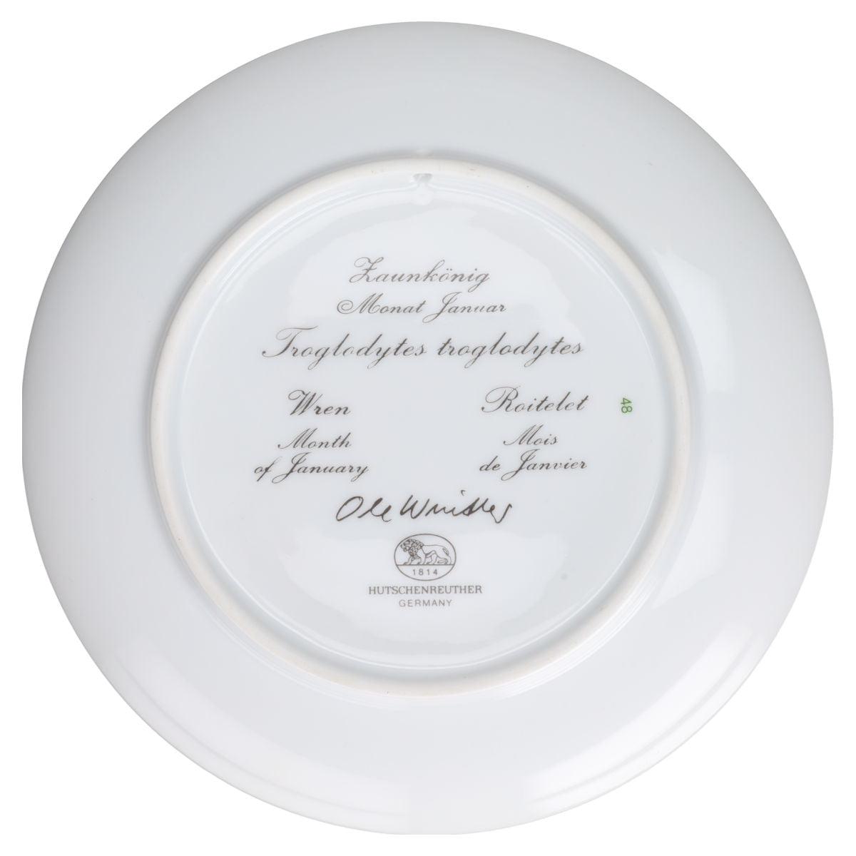 Wandteller 01 Januar Zaunkönig