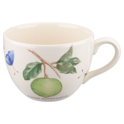 Kaffeetasse mit Untere Citrus aurantifolia