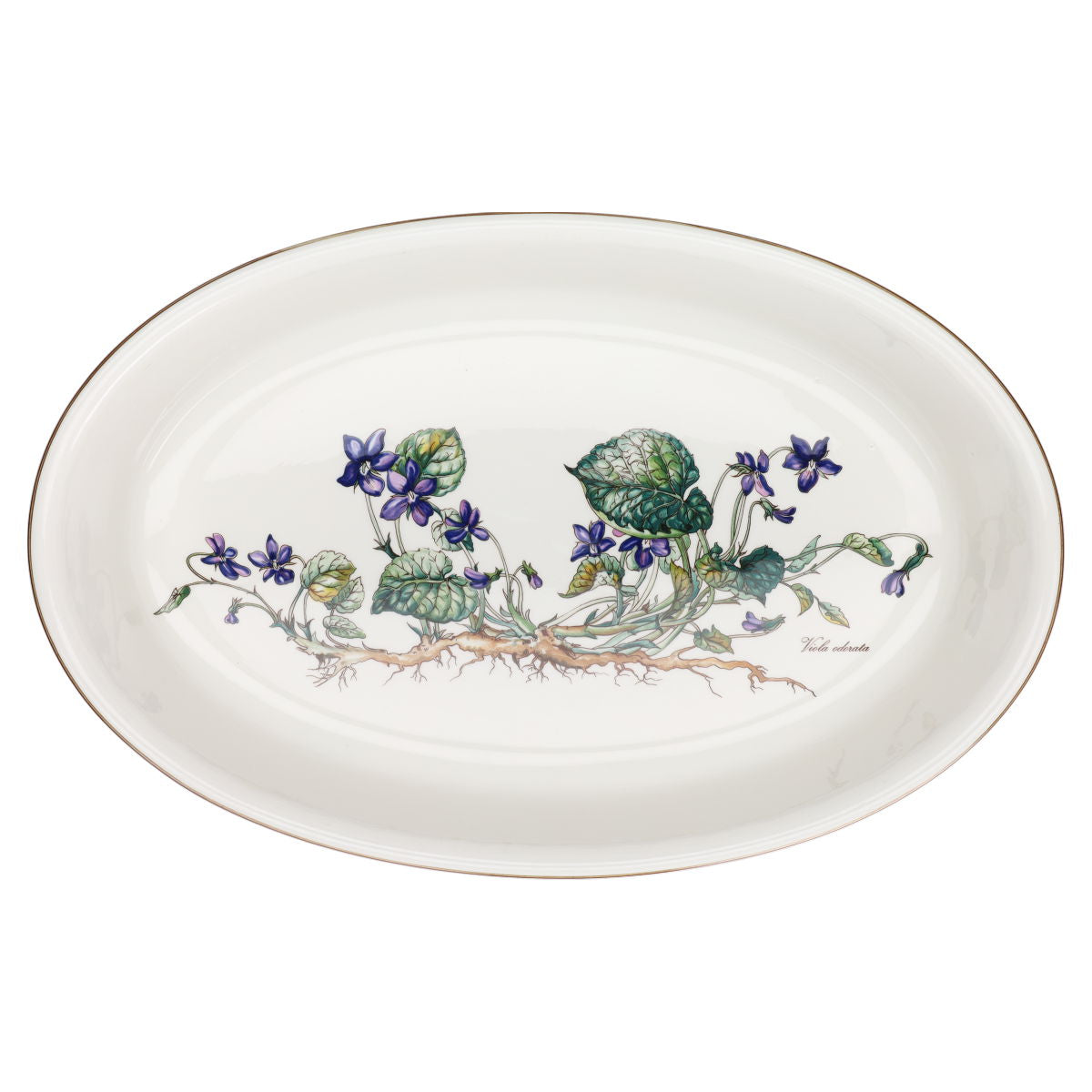 ovale Auflaufform Viola odorata
