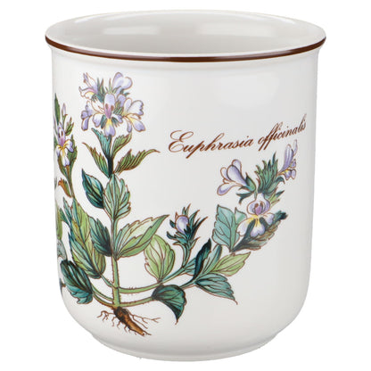 Saftbecher Euphrasia officinalis