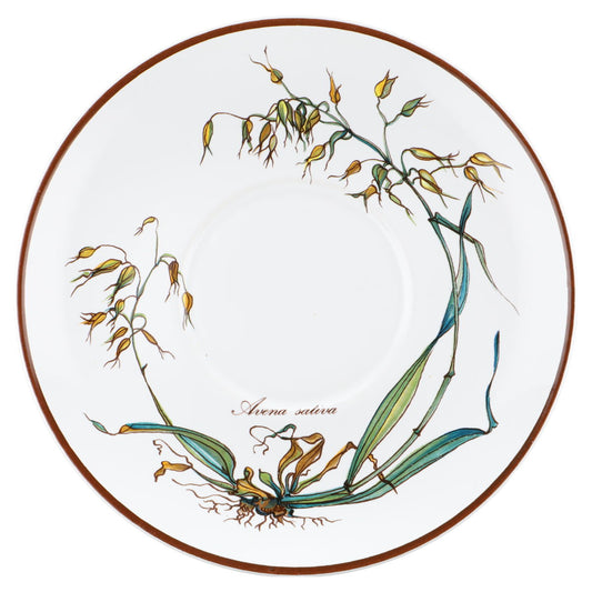 Untertasse für Milchkaffee/Suppe Avena sativa