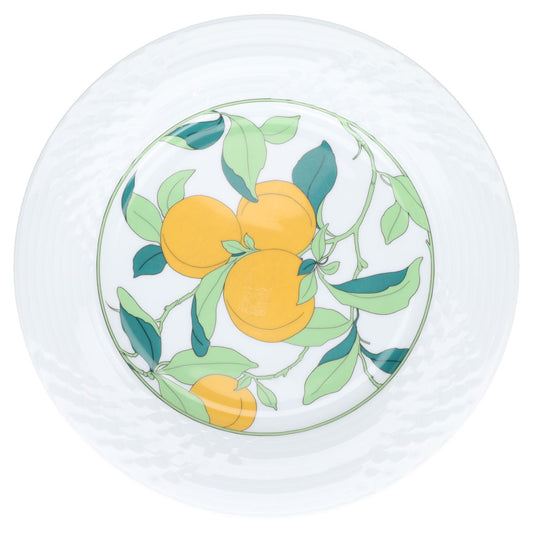 Speiseteller Aprikosen