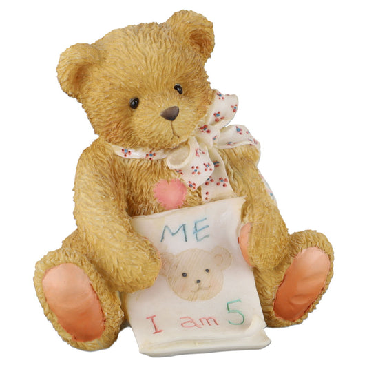 Teddy Age 5 911291