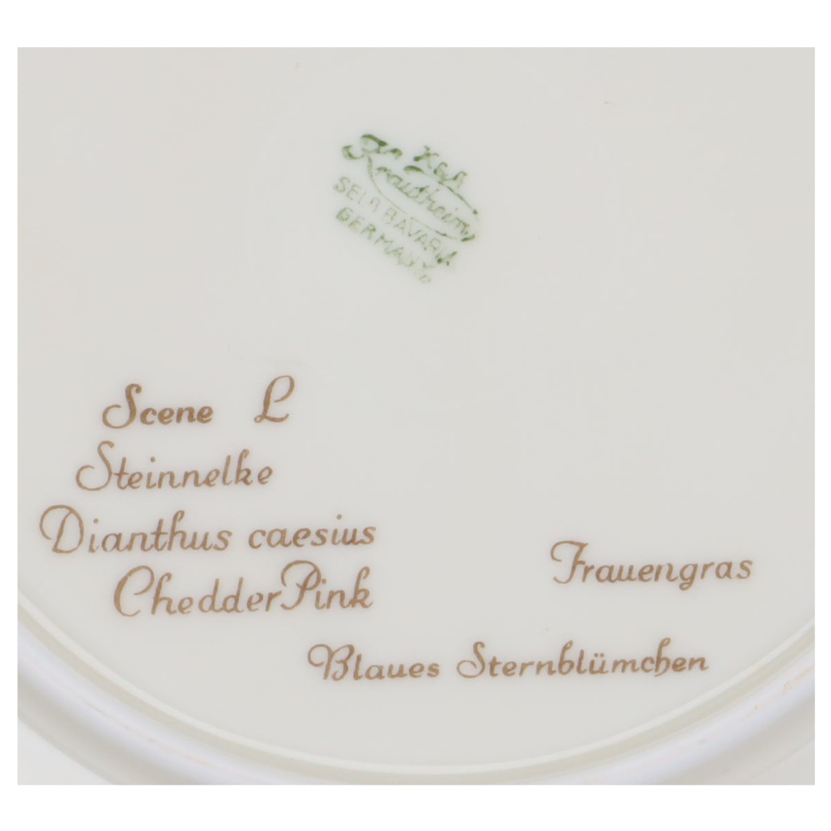 Brotteller - Scene L