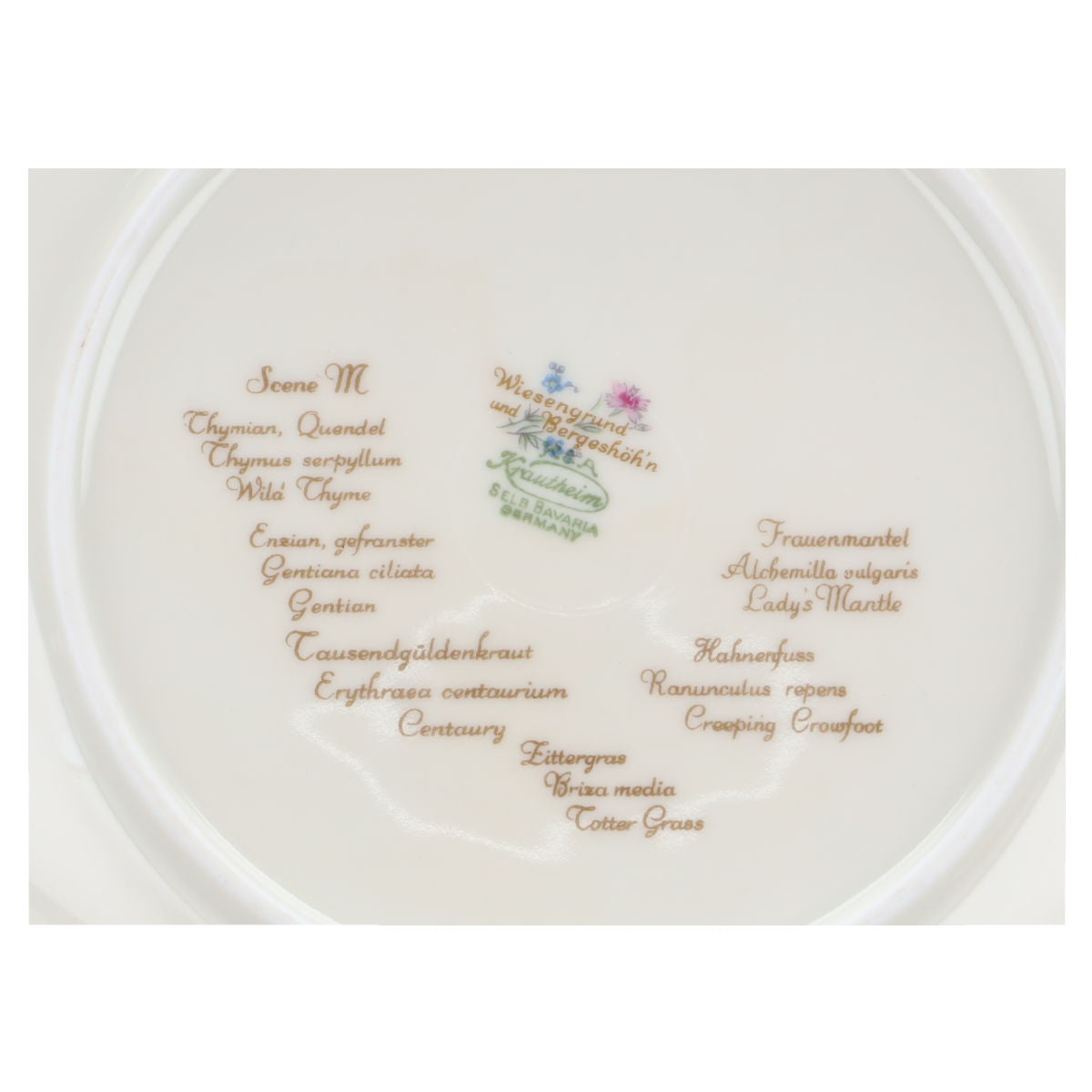 Kuchenteller - Scene M