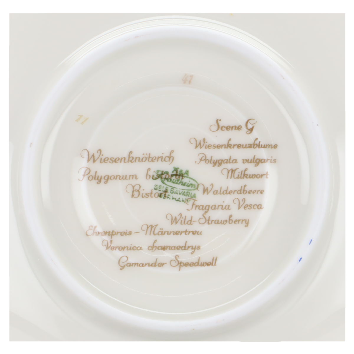 Untertasse für Kaffee / Tee - Scene G