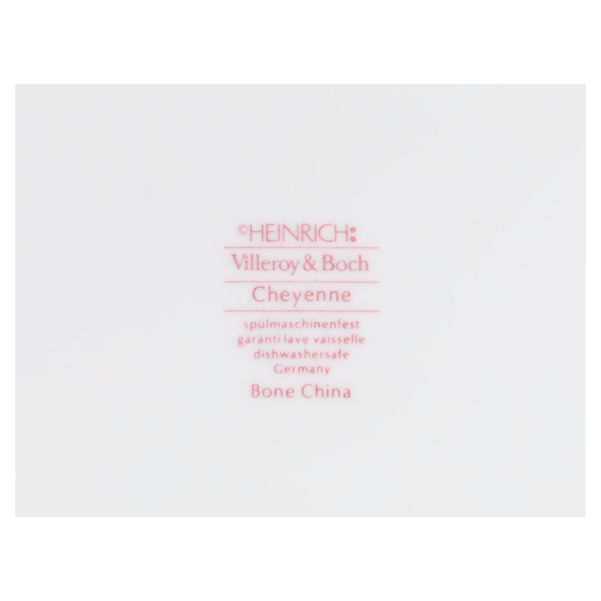 Salatteller mit Fahne