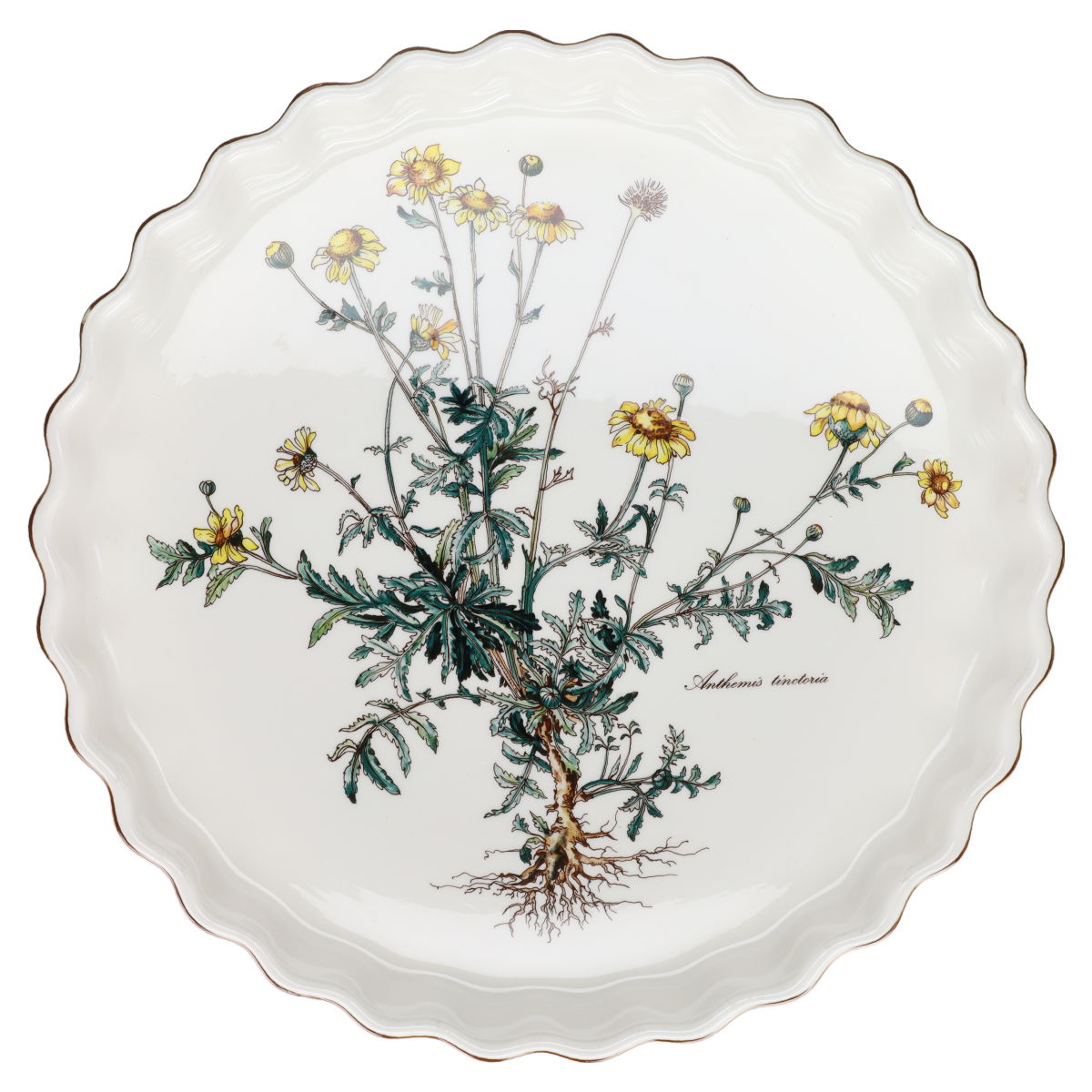 Auflaufform Quicheform extragroß Anthemis tinctoria Form II Villeroy & Boch Botanica