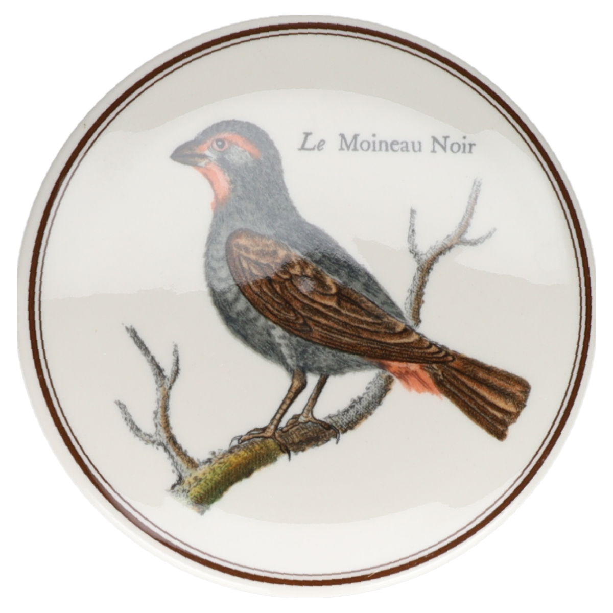 Bonbonniere klein Le Moineau Noir Villeroy & Boch Paradiso