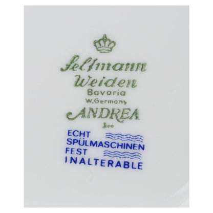 Kaffeekanne Seltmann Weiden Andrea Rosa Streublümchen 28006