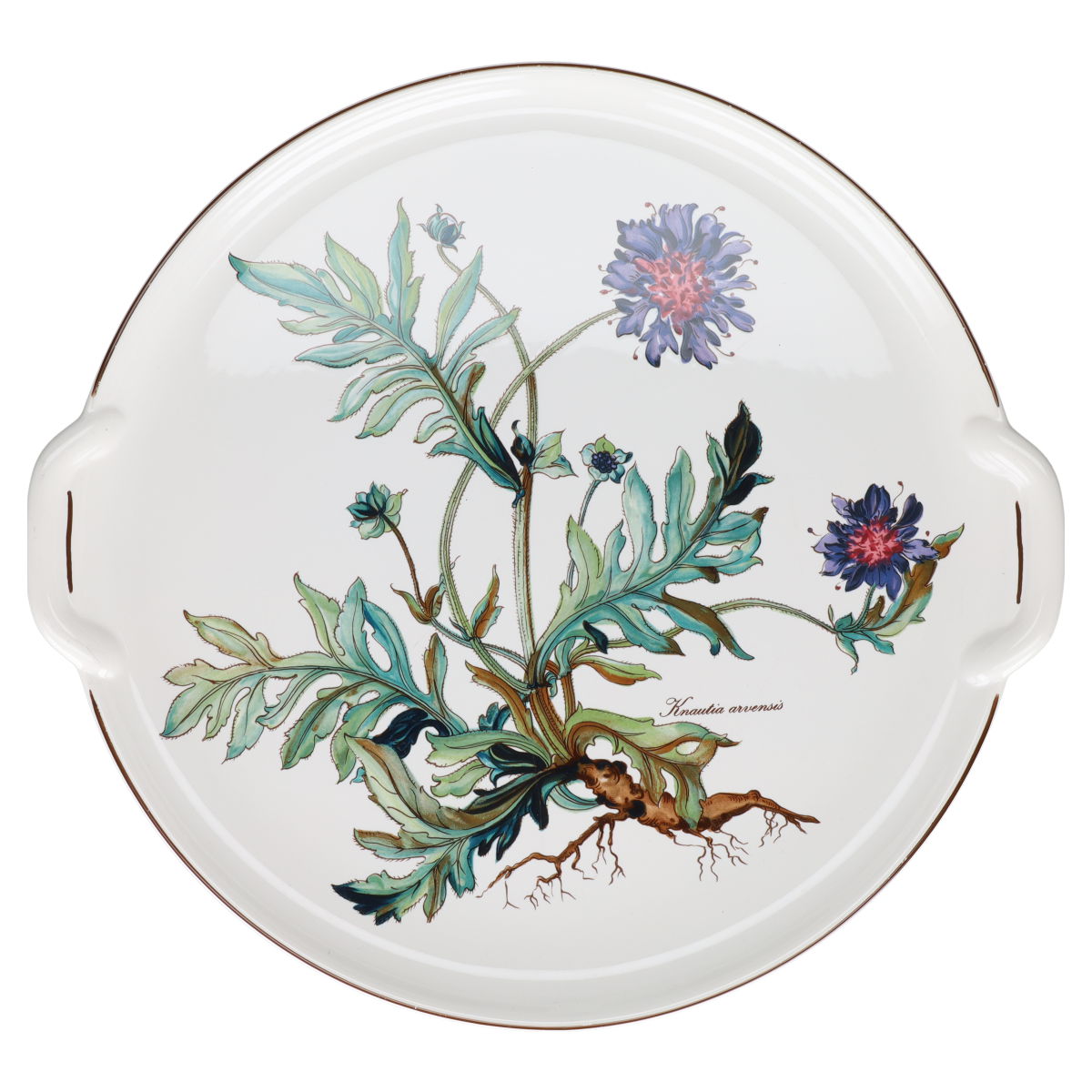 Kuchenplatte mit Griffen - Knautia arvensis Villeroy & Boch Botanica