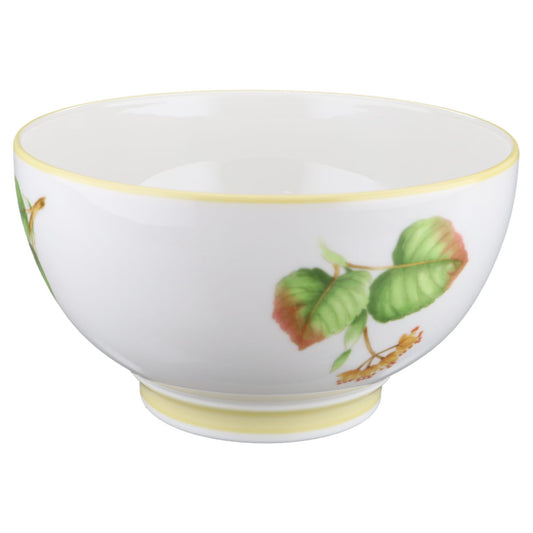 Müslischüssel Villeroy & Boch Parkland