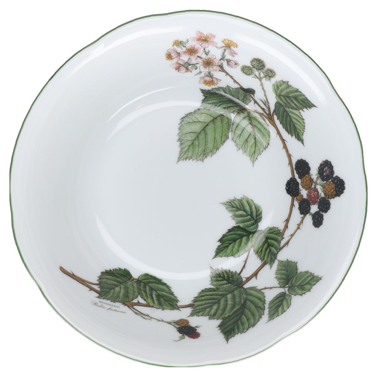 Salatschale  Seltmann Weiden Gloria Waldbeere