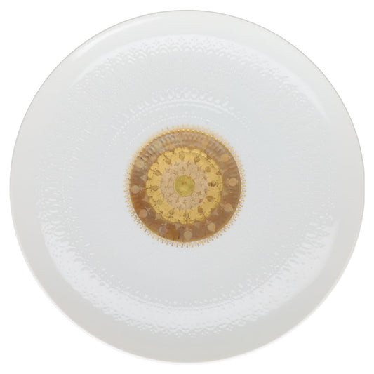 Speiseteller  Rosenthal Romanze Quatre Couleurs Dekor 401005