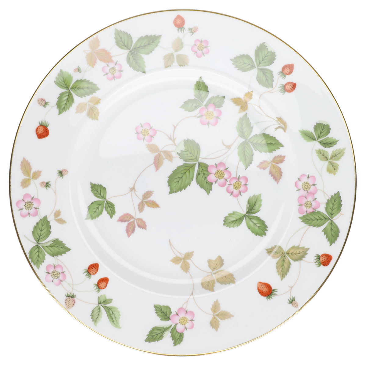 Speiseteller  Wedgwood Wild Strawberry