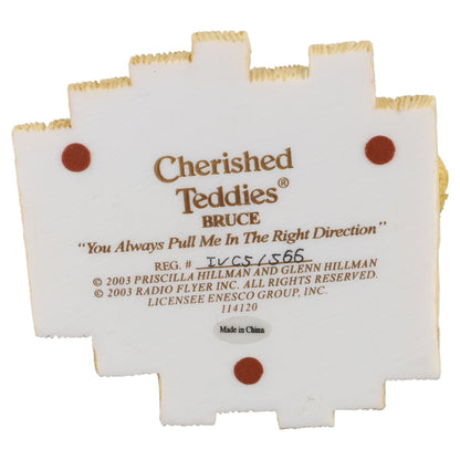 Teddy 114120 Bruce "You Always Pull Me In The Right Direction" Enesco Cherished Teddies mit OVP
