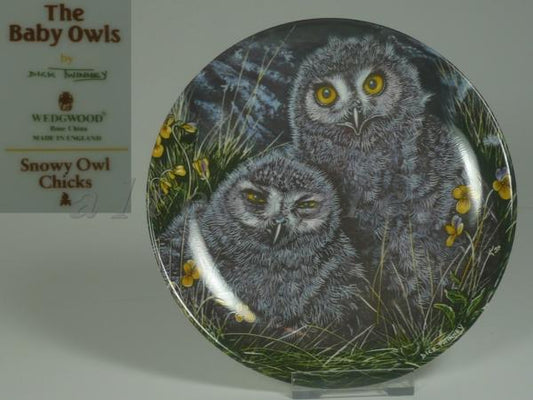 Wandteller - Snowy Owl Chicks