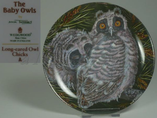 Wandteller - Long-eared Owl Chicks
