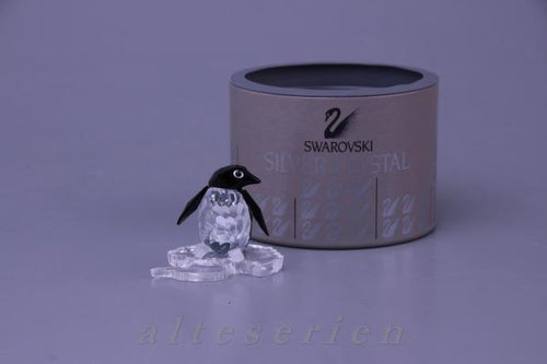 Pinguin auf Eisscholle OVP 2 farbig