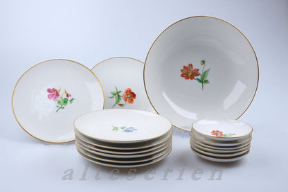 Schalenset 15tlg. Blumenmalerei Aufglasur