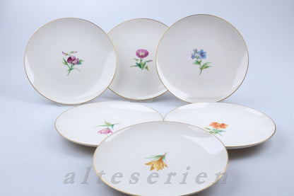 Schalenset 15tlg. Blumenmalerei Aufglasur