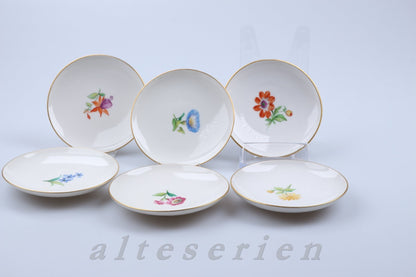 Schalenset 15tlg. Blumenmalerei Aufglasur