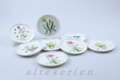 8 Glasuntersetzer 3408 floral