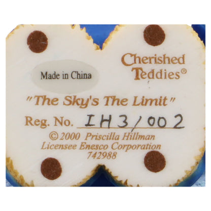 Tedddy The sky's the limit 742988