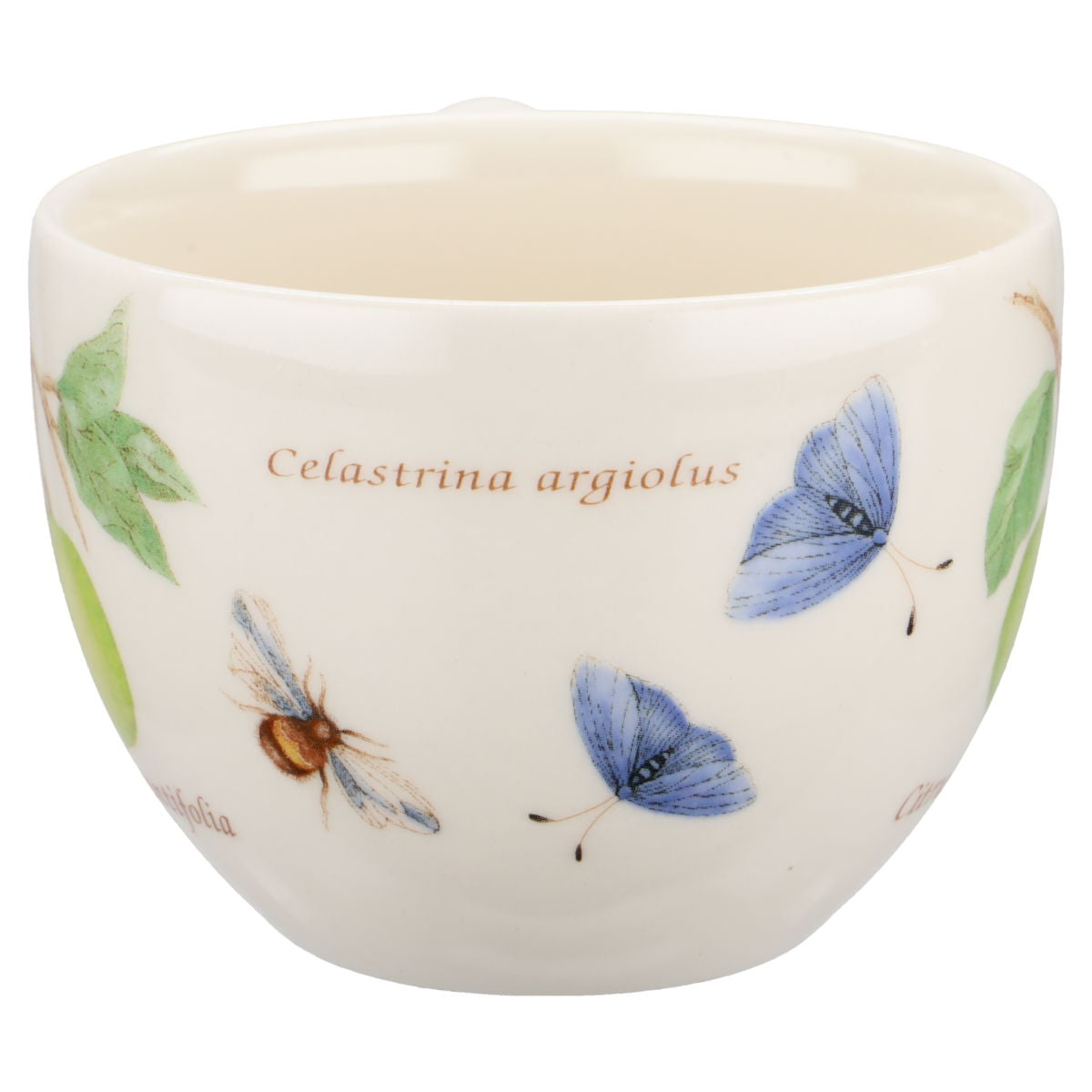 Kaffeetasse - Citrus aurantifolia