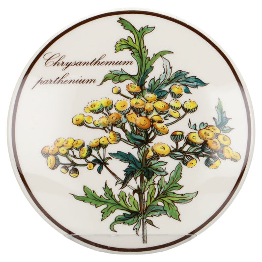 Bonbonniere klein - Chrysanthemum parthenium