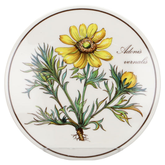 Bonbonniere klein - Adonis vernalis