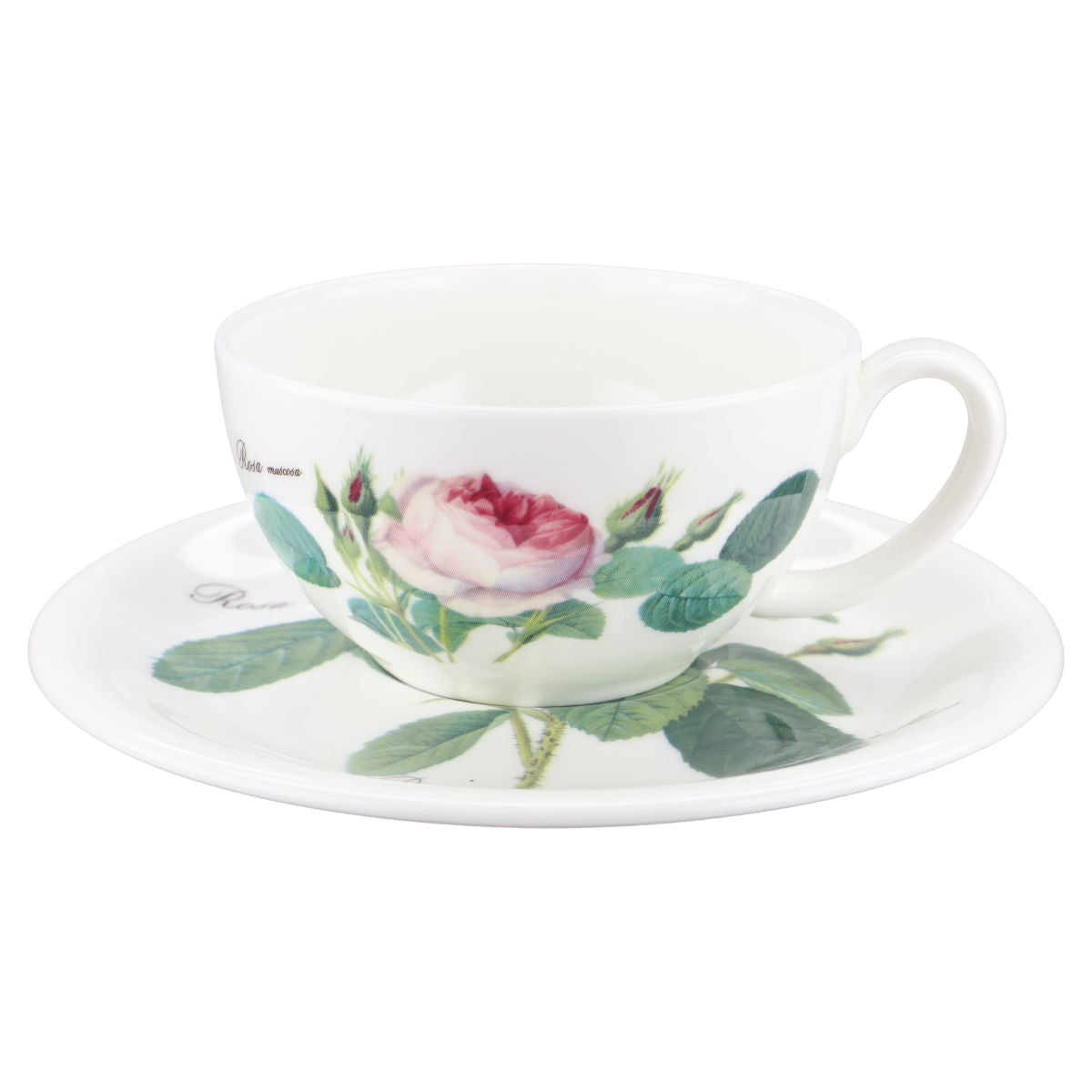 Teetasse Mit Untere - Roy Kirkham Redoute Roses Online Günstig Kaufen ...