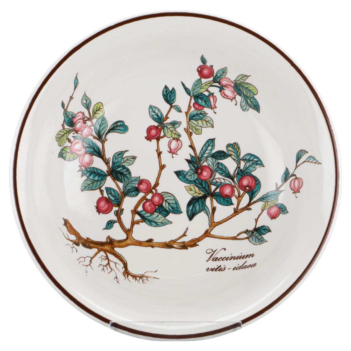 Store Ca. 136 Teile Botanica Geschirr von Villeroy & Boch