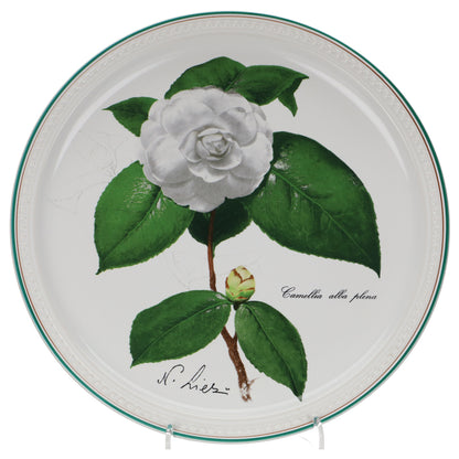 Wandteller 1980 Camellia alba plena