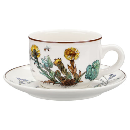 Teetasse mit Untere Tussilago farfara