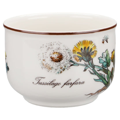 Teetasse mit Untere Tussilago farfara